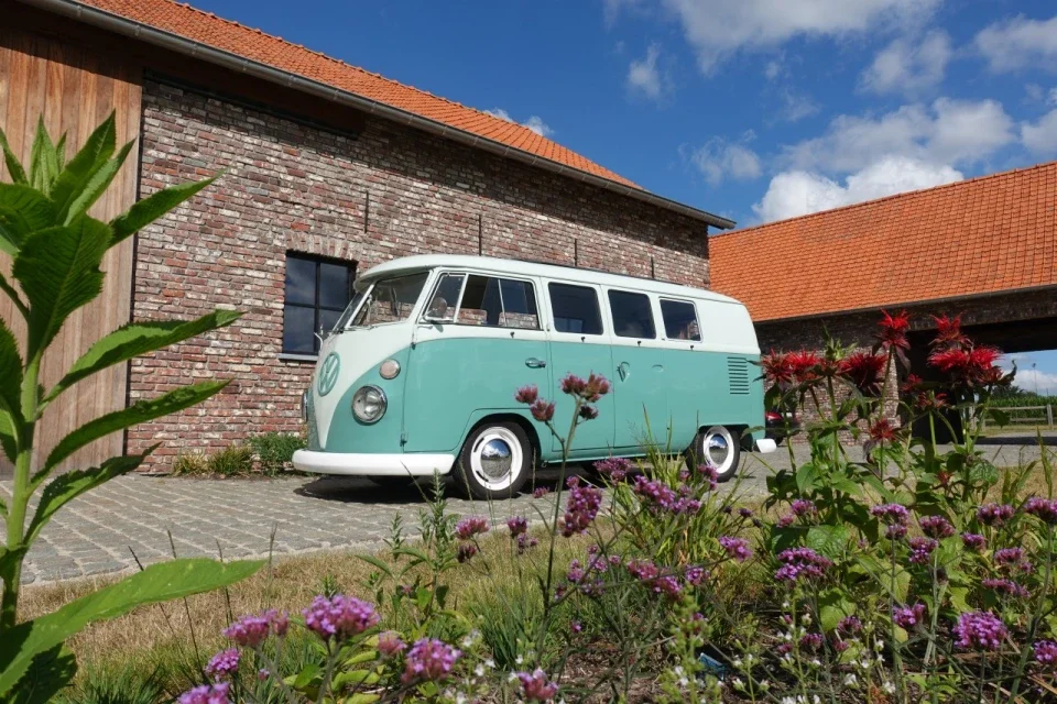 VW T1